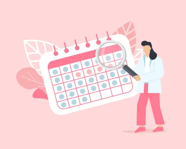 Vector illustration of Menstrual cycle calendar with doctor gynecologist holding magnifying glass