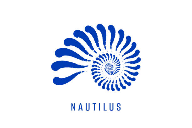 nautilus shell logo. design template - sarmal deniz kabuğu illüstrasyonlar stock illustrations
