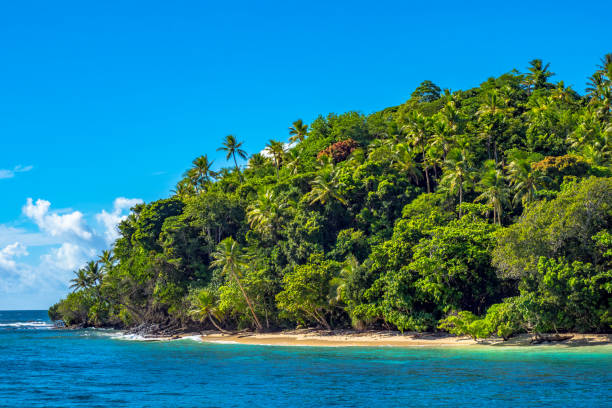 Coastline beach of lush tropical jungle on remote island in the pacific Ocean Tropical jungle in papua New guinean forest meeting the water at the shore in Papua. new britain island stock pictures, royalty-free photos & images