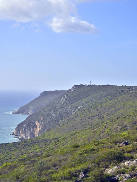 istock Impressive rocky cliffs covered with greenery on Atlantic Ocean coast in Portugal under blue sky 1449648001