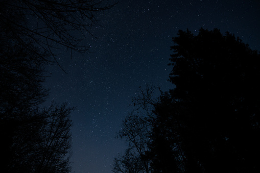 wide angle view, from a peaceful forest in a mountain environment, of the clear and blue sky at night, full of shining stars at the end of november