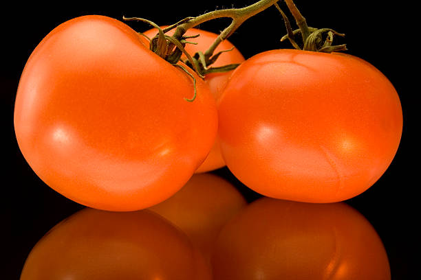 Tomato stock photo