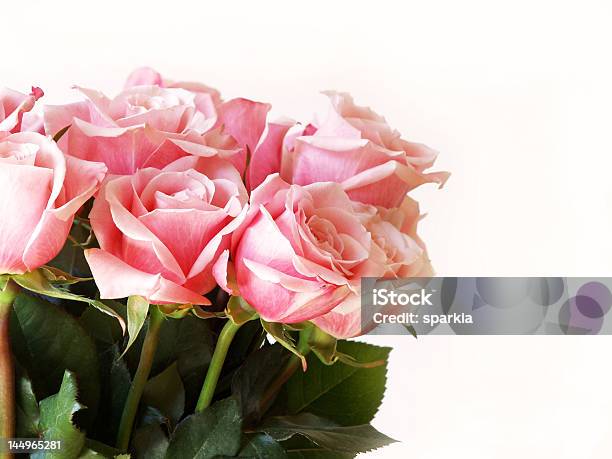 Valentines Day Pink Roses Stock Photo - Download Image Now - Anniversary, Arrangement, Botany