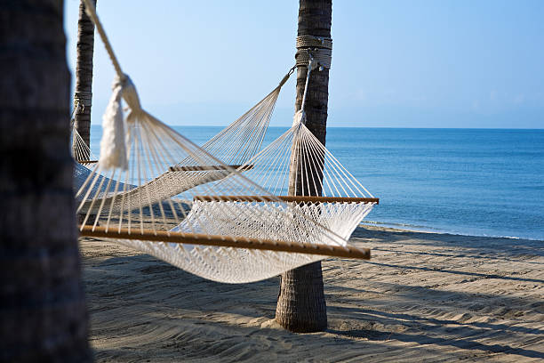 Rear view of a woman relaxing in a hammock hanging on the balcony of a beautiful eco wooden house
