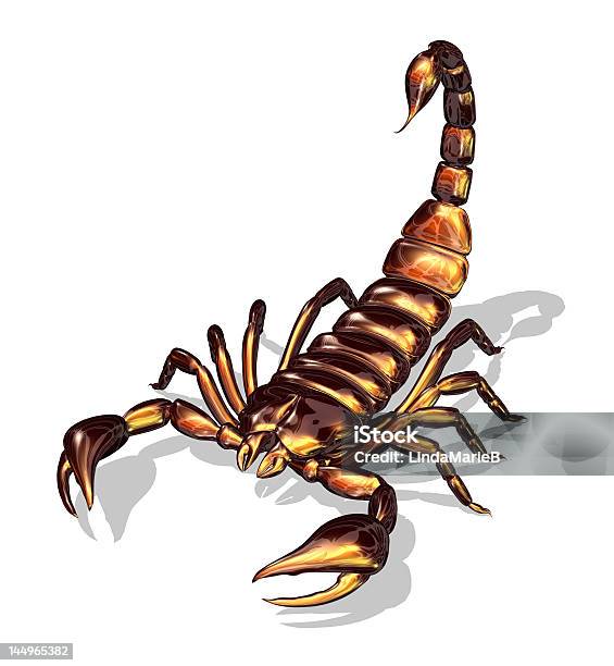 Lucido Scorpione - Fotografie stock e altre immagini di Aracnide - Aracnide, Composizione verticale, Illustrazione