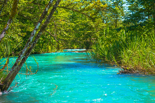 Paradise in Papua New Guinea. The perfect clear water in south pacific tropical island Jungle