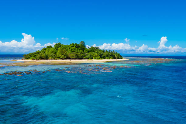 Coastline beach of lush tropical jungle on remote island in the pacific Ocean Tropical jungle in papua New guinean forest meeting the water at the shore in Papua. new britain island stock pictures, royalty-free photos & images
