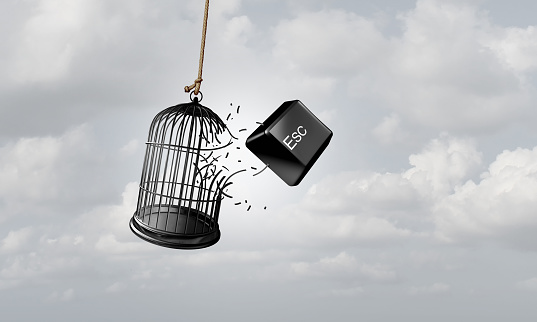 Escape metaphor and Concept of freedom as a business idea to break free with an Esc computer key button breaking out of a bird cage as a 3D illustration.