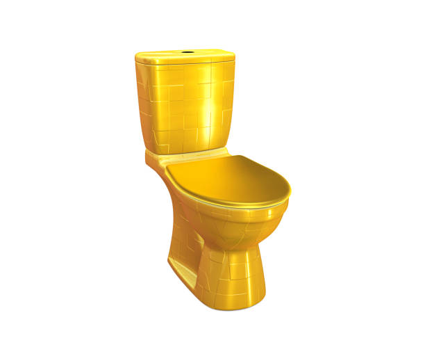 istock Golden Toilet bowl 1449660054