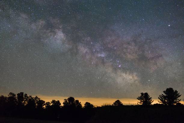 istock Trees against scenic starry night 1449661313