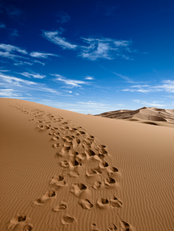 A dune of morocco's desert near Merzouga
