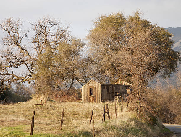 Old Shack stock photo