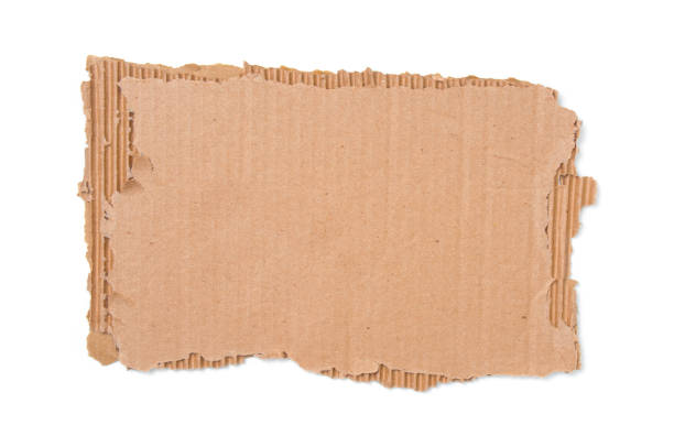 istock Cardboard corrugated piece with ripped edge on white background 1449661927
