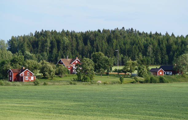 istock Trees and houses on field against next to forest 1449662148