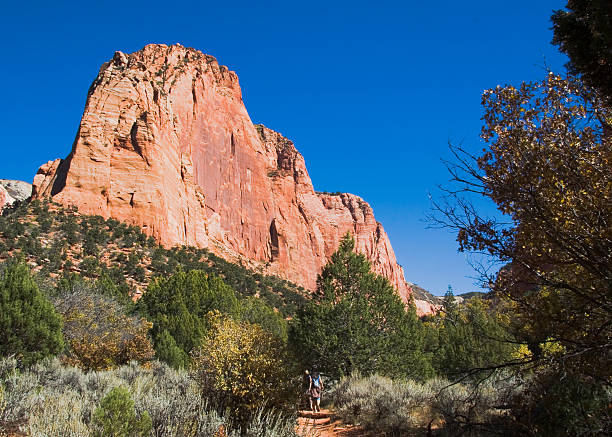 istock Large Rock Formation in Zion National Park 144966753