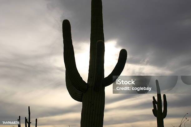 Saguaro Profil - zdjęcia stockowe i więcej obrazów Bez ludzi - Bez ludzi, Chmura, Fotografika