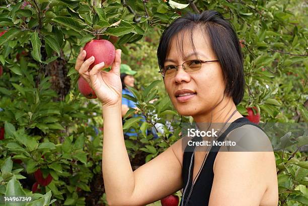 Kobieta Trzymając Czerwony Jabłko - zdjęcia stockowe i więcej obrazów Czerwony - Czerwony, Dorosły, Drzewo