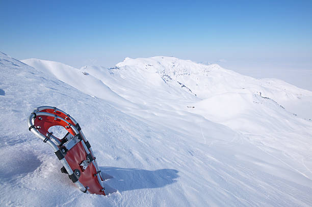istock Snowshoes in powder snow 144967371