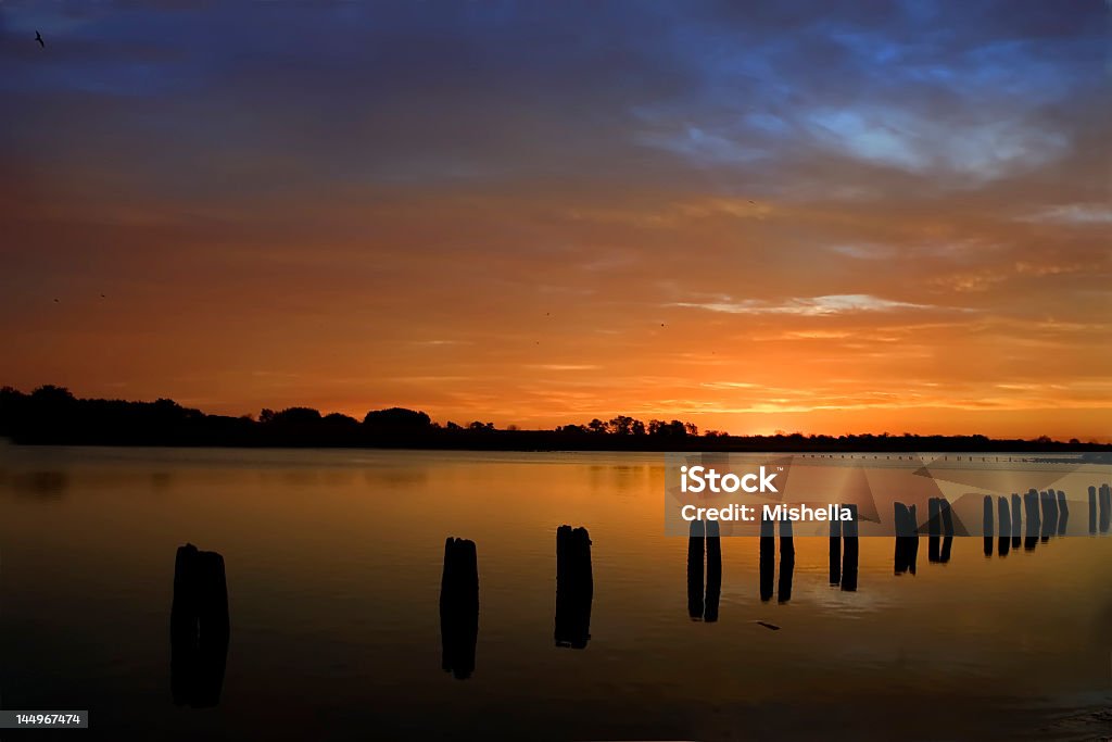 Sunrice - Foto stock royalty-free di Acqua