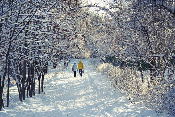 Winter walk stock photo