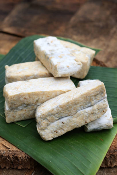 istock Raw Tempeh Gembus or Tempe Gembos 1449676474