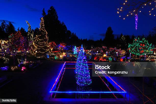 Luci Di Natale Festa In Vandusen Gardens - Fotografie stock e altre immagini di Acqua - Acqua, Aiuola, Albero