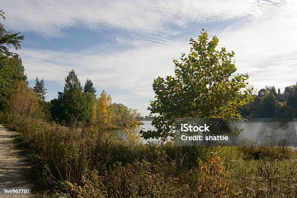 나무와 클라우드 0명에 대한 스톡 사진 및 기타 이미지 - 0명, 가을, 경관