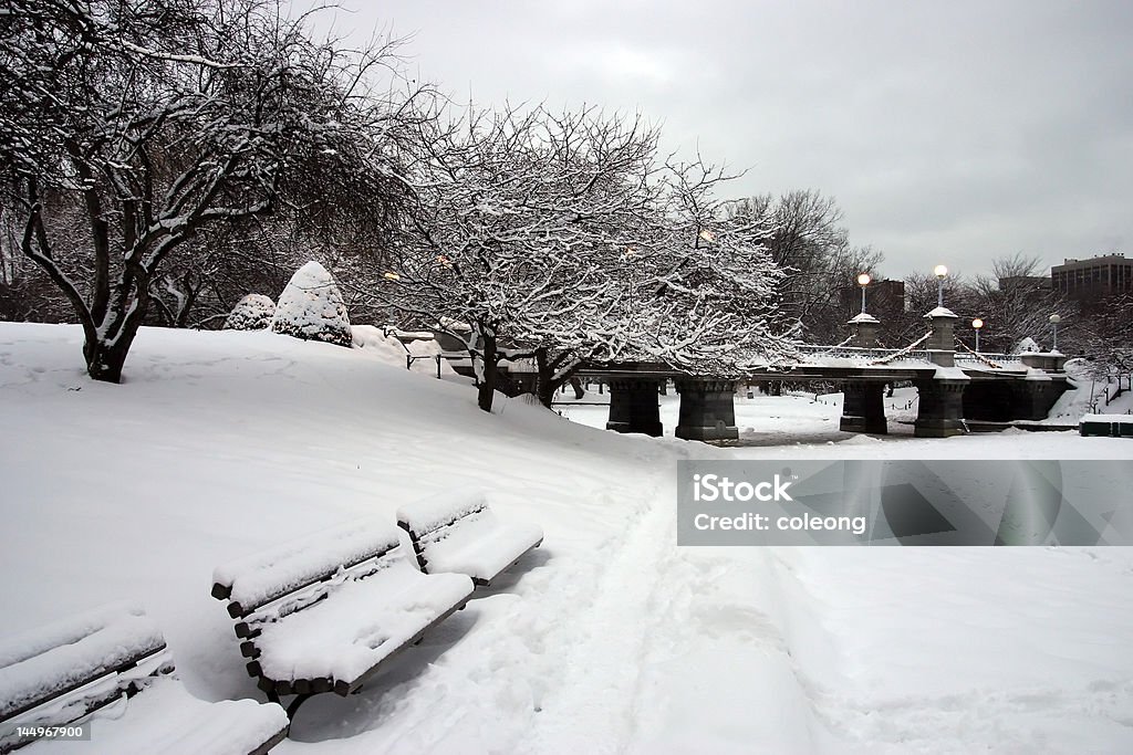 Boston Winter - Lizenzfrei Alt Stock-Foto