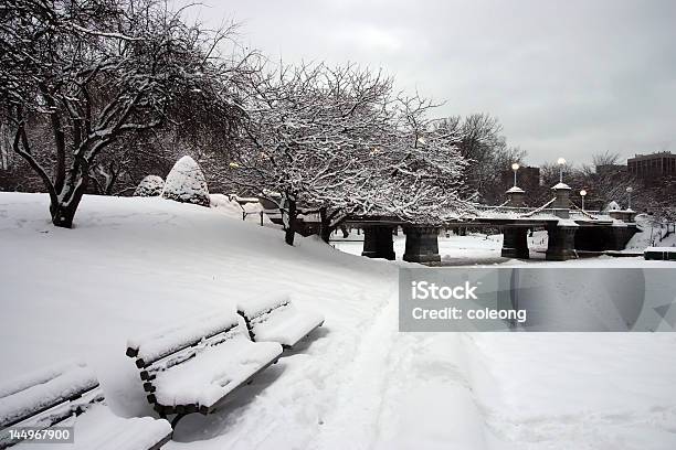 Boston Inverno - Fotografias de stock e mais imagens de Alfalto - Alfalto, Antigo, Ao Ar Livre