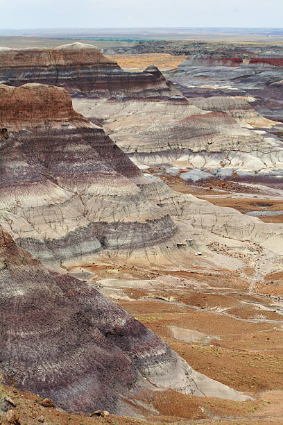 Painted Desert vista stock photo