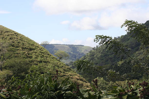 istock Valley of green 144968087