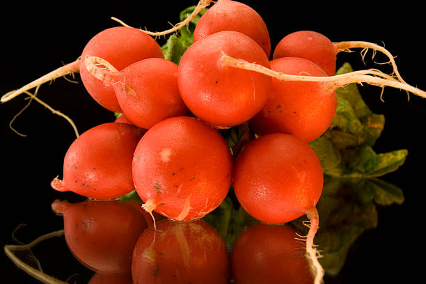 Radish stock photo