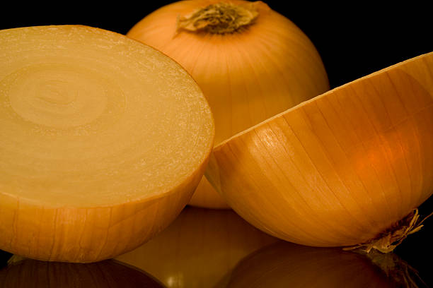 Onion stock photo