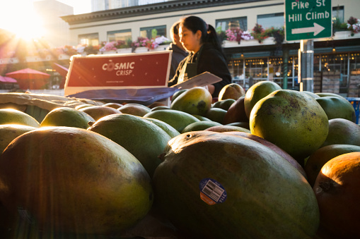 Seattle, USA - Sep 21, 2022: Fresh Mangos as produce vendor opens up early in the morning at Pike Place Market.