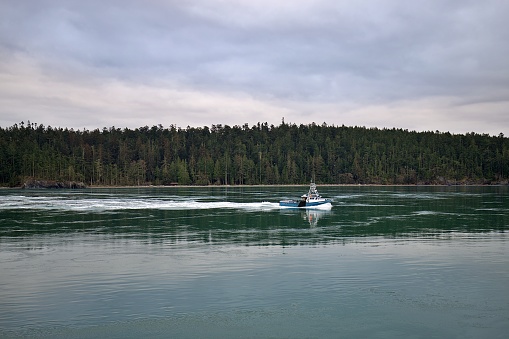 A fishing boat heads out of protected inland waters toward the Strait of Juan de Fuca in Washington State.
