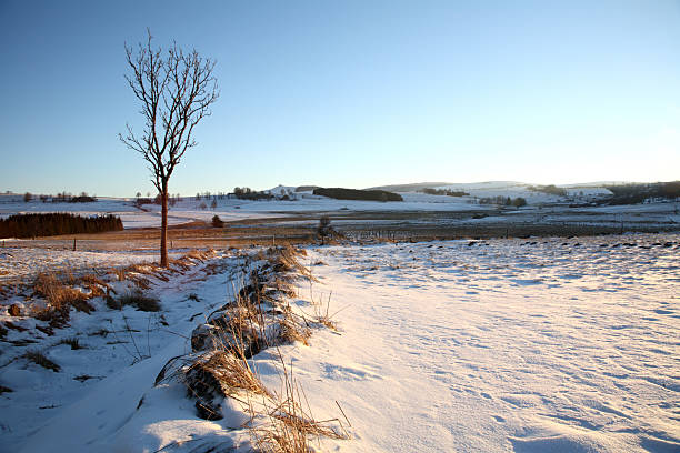 istock Snowy country in Auvergne 144968603