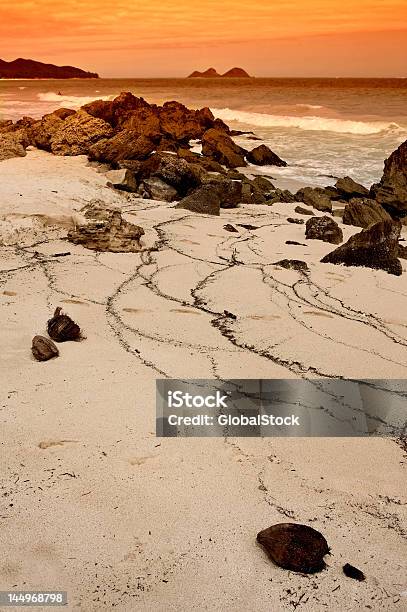 Praia Tropical Ao Pôr Do Sol - Fotografias de stock e mais imagens de Amarelo - Amarelo, Ao Ar Livre, Areia