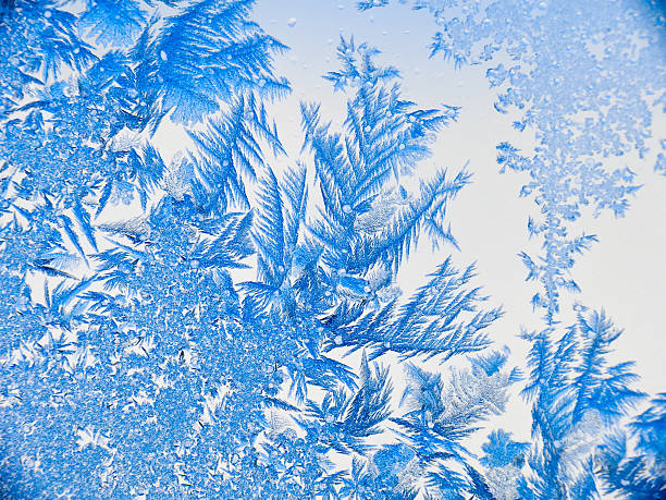 Ice flowers 07 stock photo