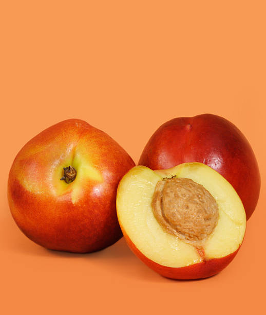 nectarines - nectarine fruit full length cross section ストックフォトと画像