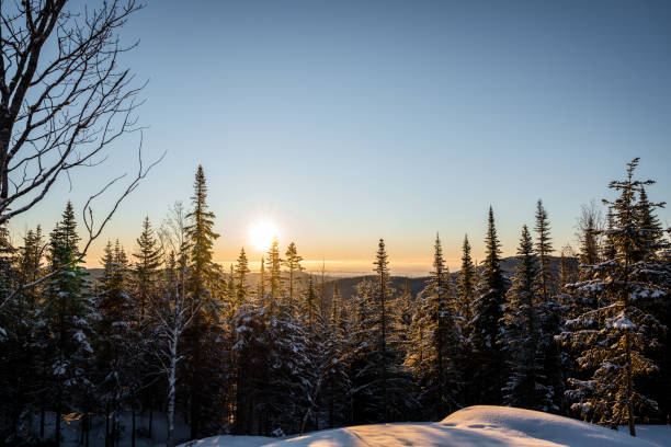 istock Sunrise in nature during winter. 1449689865