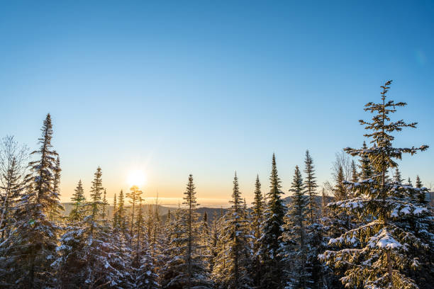 istock Sunrise in nature during winter. 1449690916