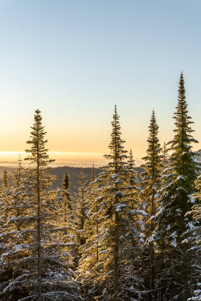 istock Sunrise in nature during winter. 1449691158