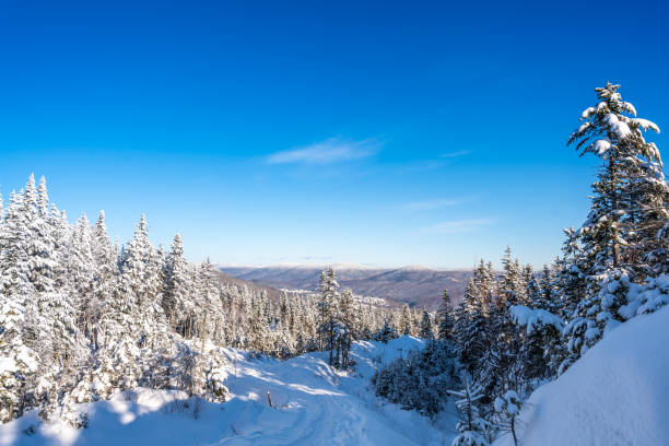 istock Winter landscape in Quebec. 1449693242
