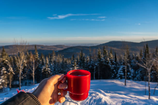 istock Coffee break in a winter landscape. 1449693740