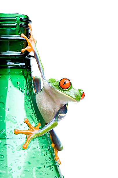 żaba na butelki puste biały - frog water isolated drop zdjęcia i obrazy z banku zdjęć