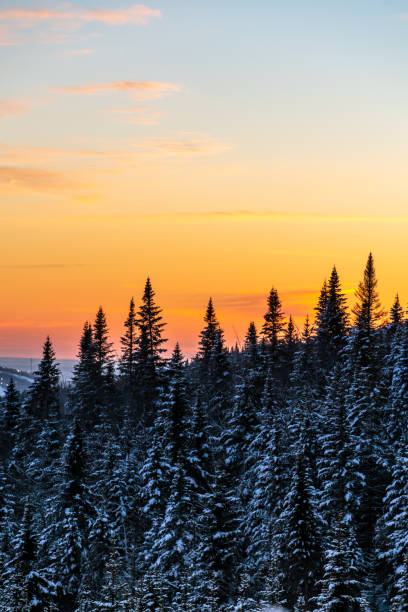 Mountain range and forest near Lac-Beauport city in Quebec during a sunset of winter.