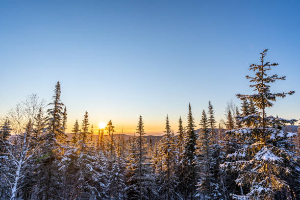 Mountain range and forest near Lac-Beauport city in Quebec during a cold sunrise of winter.