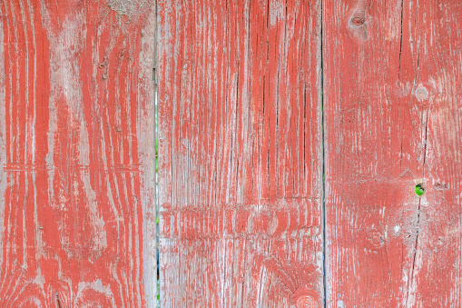 Old double wing wooden garage door with heavily weathered paint and doorknob