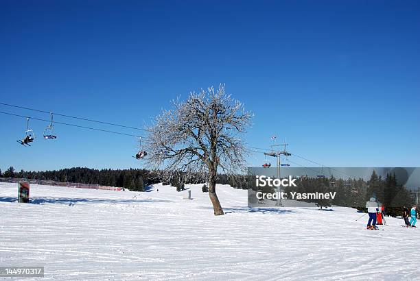 Gioiosa Mattino - Fotografie stock e altre immagini di Albero - Albero, Ambientazione esterna, Ambiente