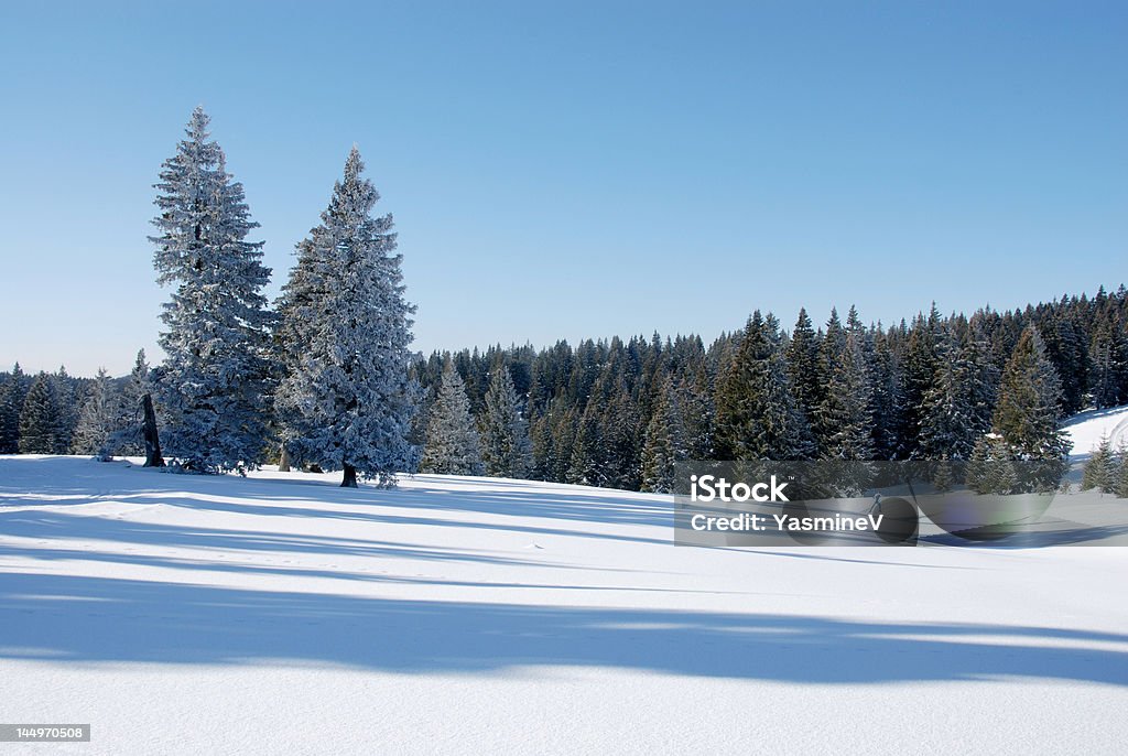 Long shadows en la nieve - Foto de stock de Adulto libre de derechos